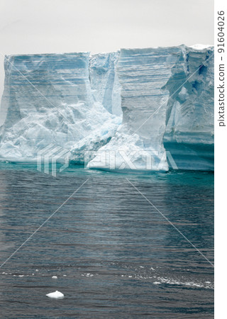 Antartica - Tabular Iceberg in Bransfield Strait 91604026