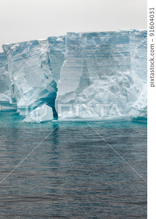 Antartica - Tabular Iceberg in Bransfield Strait 91604031