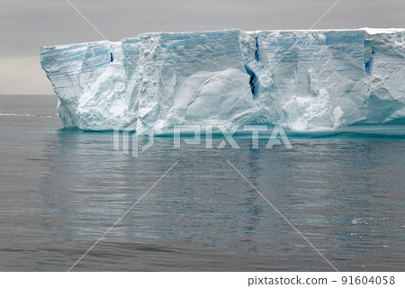 Antartica - Tabular Iceberg in Bransfield Strait 91604058