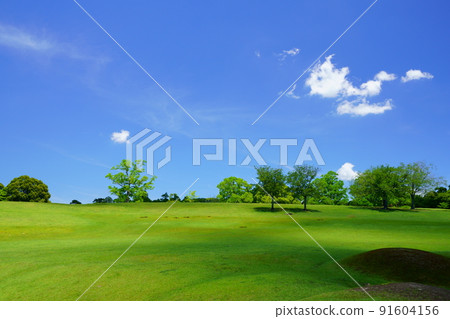 The day after the rainy season, refreshing Nara Park, Tobihino, the shadow of clouds The day after the rainy season, refreshing Nara Park, Tobihino, the shadow of clouds 91604156