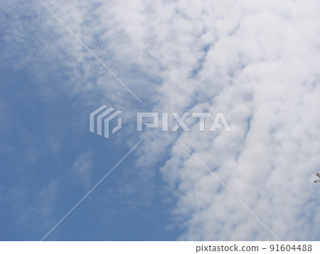 Natural background. Beautiful round frame formed by tree crowns. Cloudy blue sky. Sunny summer day Natural background. Beautiful round frame formed by tree crowns. Cloudy blue sky. Sunny summer day 91604488