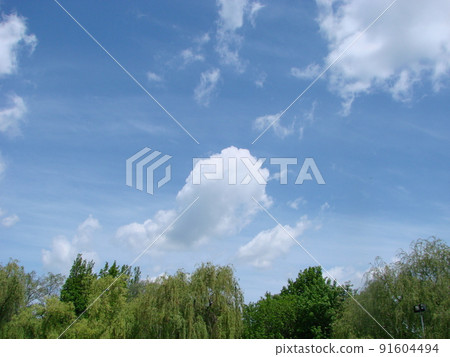 Natural background. Beautiful round frame formed by tree crowns. Cloudy blue sky. Sunny summer day Natural background. Beautiful round frame formed by tree crowns. Cloudy blue sky. Sunny summer day 91604494