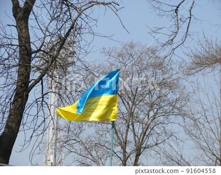 Ukraine flag Silk waving flag of Ukraine made transparent fabric gold spear on background sunny blue sky. 91604558