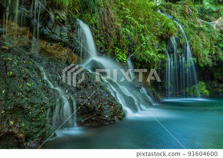 (Shizuoka Prefecture) Jinma Falls (slow shutter) (Shizuoka Prefecture) Jinma Falls (slow shutter) 91604600