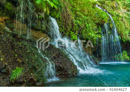 (Shizuoka Prefecture) Jinma Falls (high-speed shutter) (Shizuoka Prefecture) Jinma Falls (high-speed shutter) 91604627