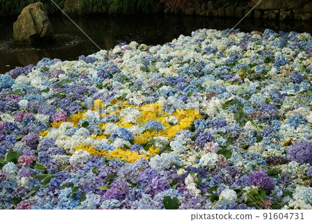 天邊觀音繡球節 天邊觀音繡球節 91604731