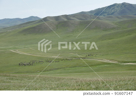 蒙古草原，山脈，動物，無盡的道路 91607147