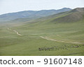 Mongolian steppes, mountains, animals, endless roads 91607148