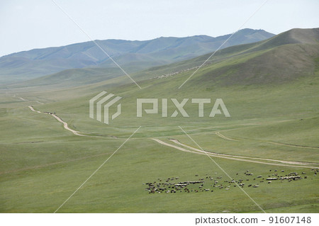 蒙古草原，山脈，動物，無盡的道路 91607148