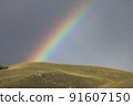 Mongolian land and rainbow after the rain 91607150