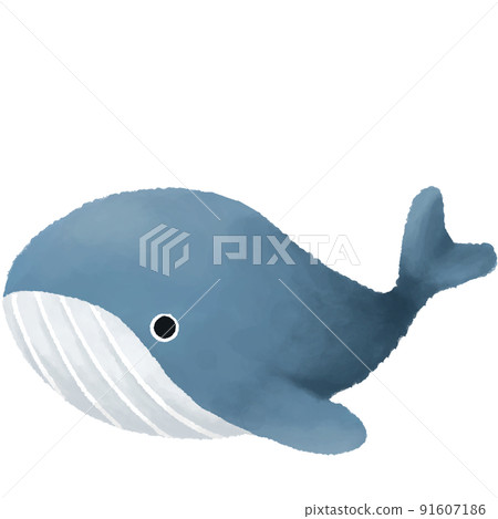 鯨魚 鯨魚 91607186