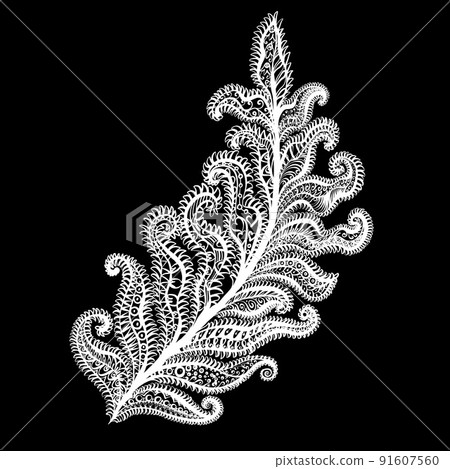 Amazing Feathers - Stock Illustration [91607560] - PIXTA