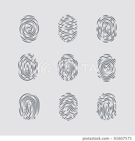 Fingerprint 91607575