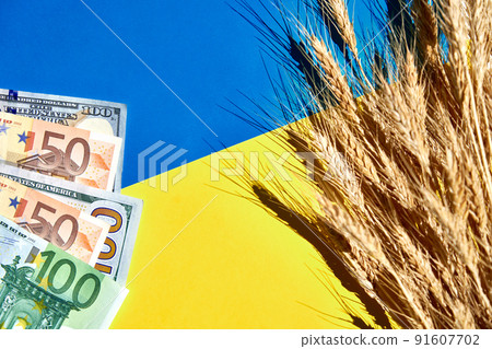 Sheaf of ripe wheat on national Ukrainian flag with USA dollars and EU Euro banknotes 91607702