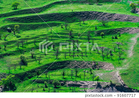 mountain landscape with green terraced hay fields on the slopes mountain landscape with green terraced hay fields on the slopes 91607717