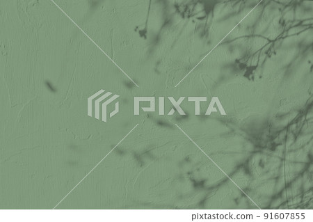 Shadow of leaves on green concrete wall texture background 91607855