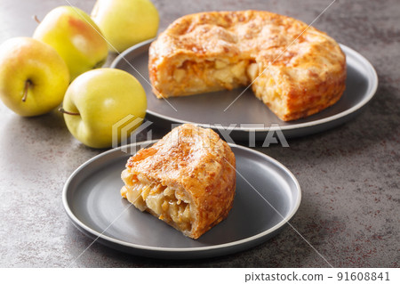Apple pie with cheese crust closeup in the plate. Horizontal 91608841