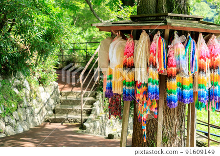 福岡縣笹栗町 Senbazuru Summer Nanzoin 福岡縣笹栗町 Senbazuru Summer Nanzoin 91609149
