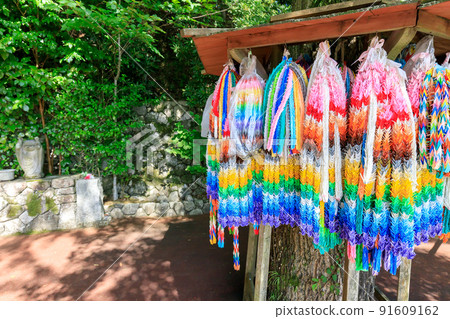 福岡縣笹栗町 Senbazuru Summer Nanzoin 福岡縣笹栗町 Senbazuru Summer Nanzoin 91609162