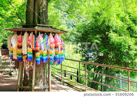 Senbazuru Summer Nanzoin, Sasaguri Town, Fukuoka Prefecture 91609206