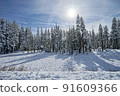 winter snow scene and woods 91609366