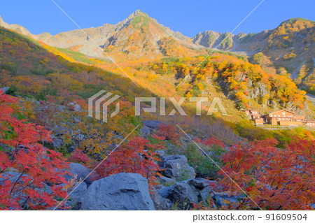 秋天的唐澤 秋天的唐澤 91609504