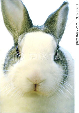 宇崎正面照 宇崎正面照 91609751