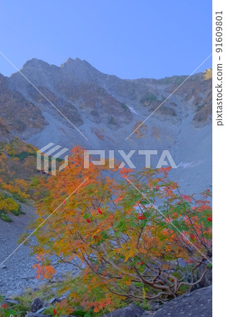 Hotaka's autumn leaves 91609801