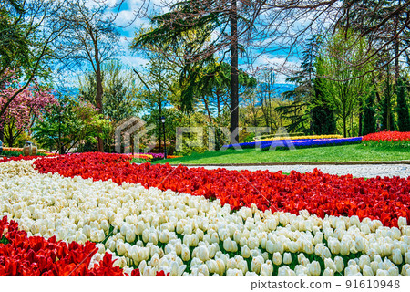 Emirgan Park, Istanbul Emirgan Park, Istanbul 91610948