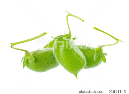 Green chickpeas in the pod, isolated on white background. Cicer arietinum. Clipping path. 91611143