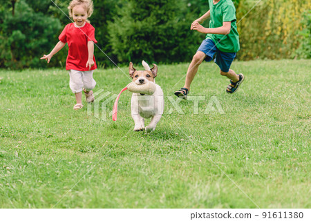 Happy smiling kids playing tag with domestic small dog outdoors 91611380