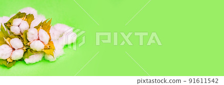 Cotton harvest [Cotton image] 91611542