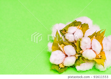 Cotton harvest [Cotton image] 91611553