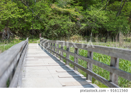 Yumoto Onsen source "Yunohira Marsh" walking path in Oku-Nikko, Tochigi Prefecture 91611560