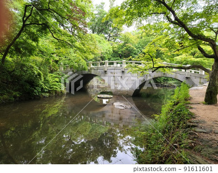 全羅南道高敞禪雲寺 全羅南道高敞禪雲寺 91611601