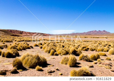 Bolivian mountains landscape,Bolivia Bolivian mountains landscape,Bolivia 91611829