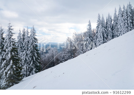 View from the top of mountain on forest in frost and low cloud. 91612299