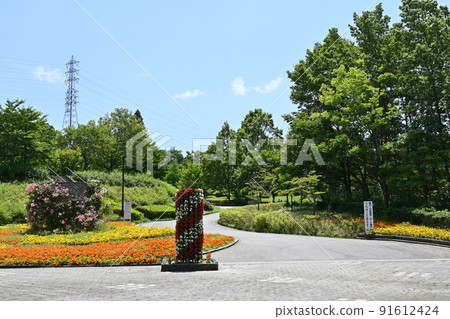 愛知縣小牧市小牧市民之森入口附近 91612424