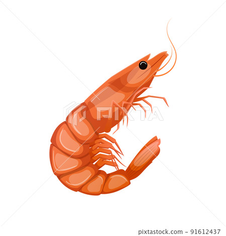 shrimp king tiger cartoon vector illustration 91612437