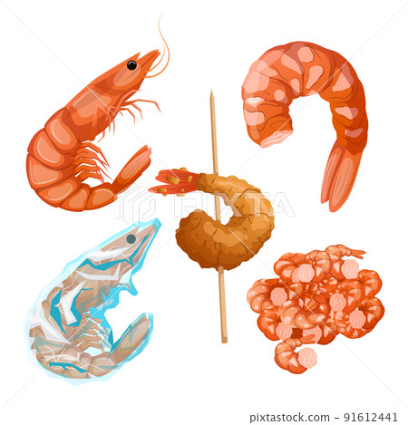 shrimp fish seafood set cartoon vector illustration 91612441