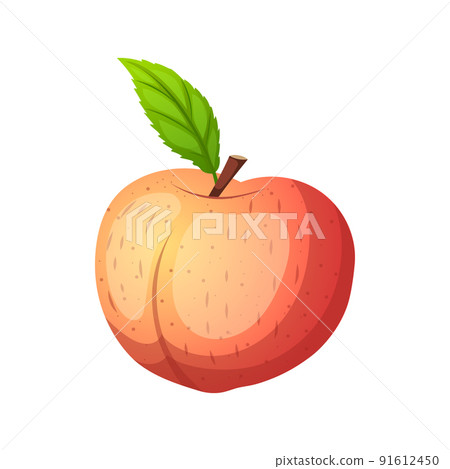 fruit peach cartoon vector fruit peach cartoon vector 91612450
