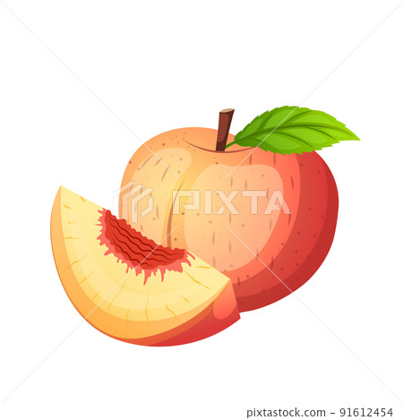 fruit peach cartoon vector fruit peach cartoon vector 91612454