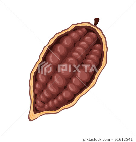 chocolate cocoa cartoon vector chocolate cocoa cartoon vector 91612541