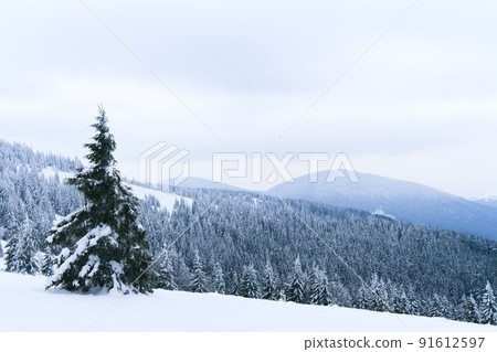 Carpathian mountains, Ukraine. Trees covered with hoarfrost and snow in winter mountains - Christmas snowy background Carpathian mountains, Ukraine. Trees covered with hoarfrost and snow in winter mountains - Christmas snowy background 91612597