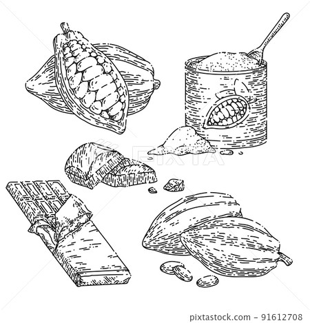 chocolate cocoa set sketch hand drawn vector 91612708