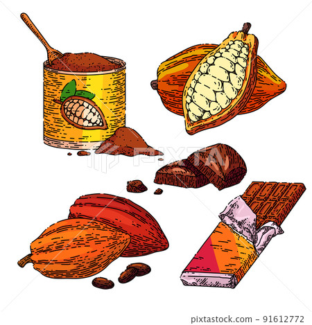 chocolate cocoa set sketch hand drawn vector 91612772