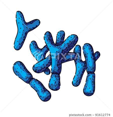 bacteria epidemic sketch hand drawn vector 91612774