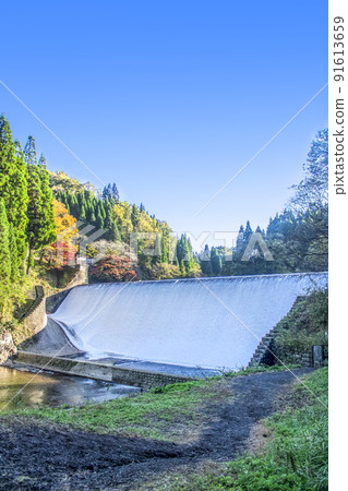 Autumn leaves of Hakusui dam 91613659