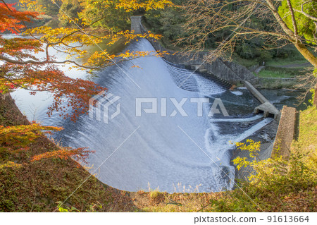 白水壩的紅葉 91613664