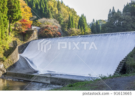 Autumn leaves of Hakusui dam 91613665